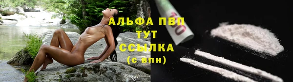 шишки Алексеевка