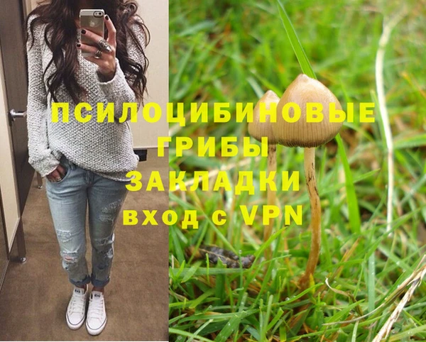 наркотики Алексин