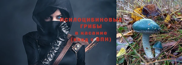 шишки Алексеевка